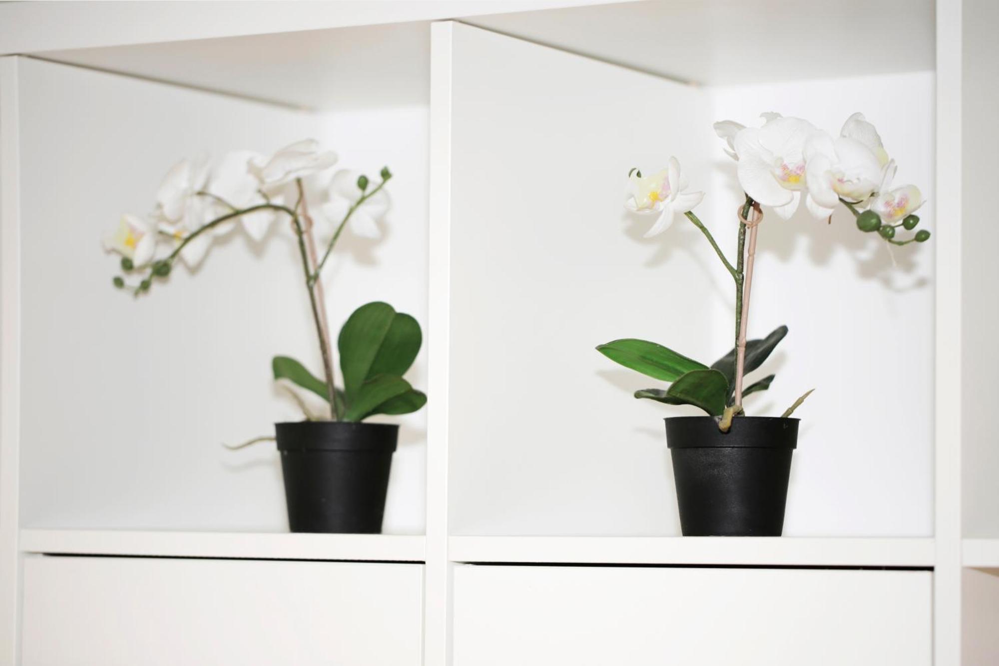 Bellavita Loft Milano Center Near Duomo,Central Station, Navigli 외부 사진